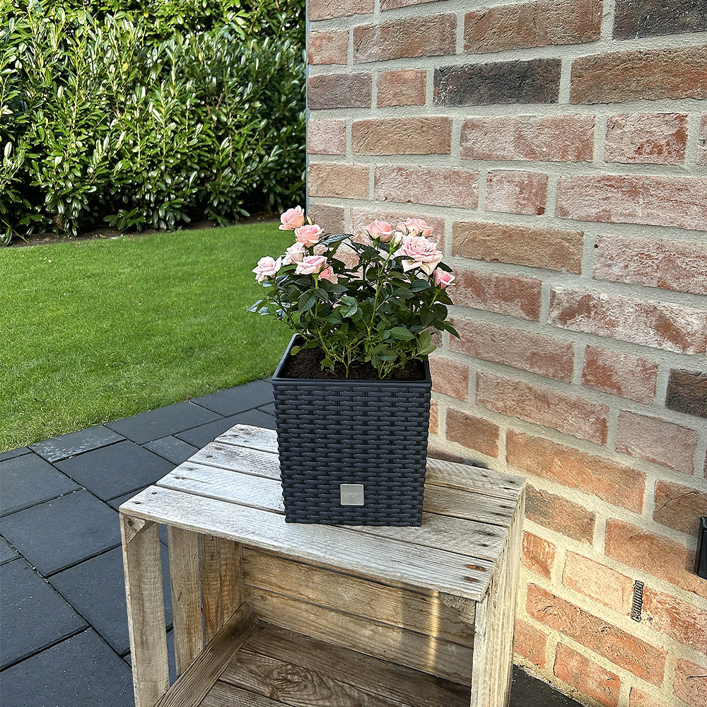 Protanic Powertec Garden Blumentopf 
