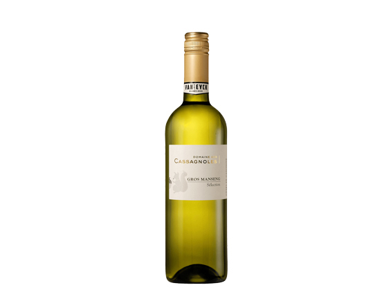 Domaine des Cassagnoles Gros Manseng Sélection 2021 Sud-Ouest Côtes de Gascogne