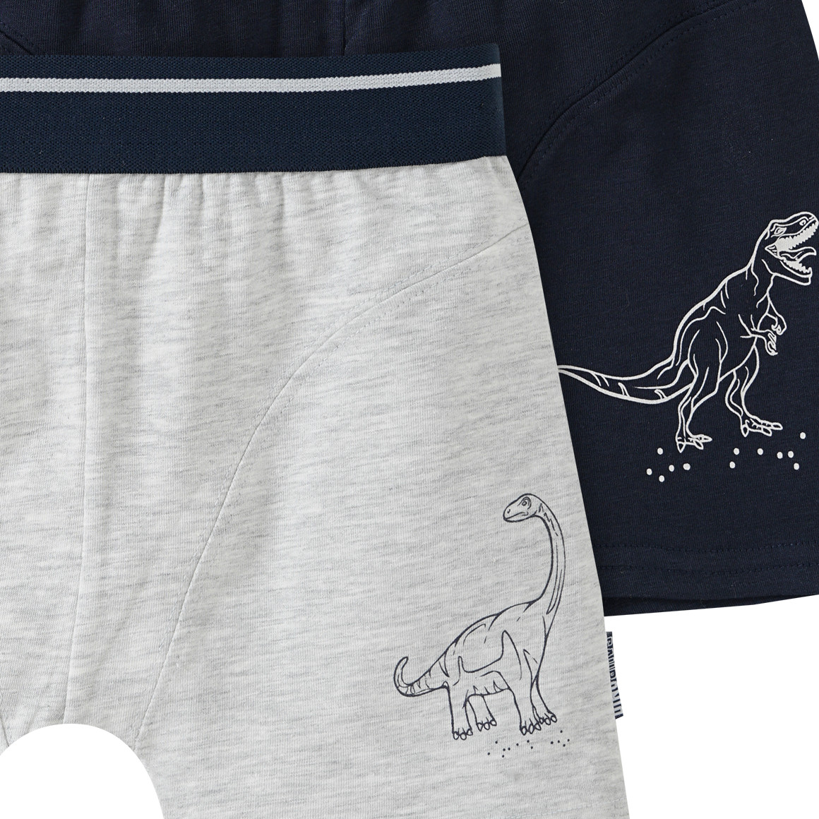 2 Jungen Boxer mit Dino-Motiv