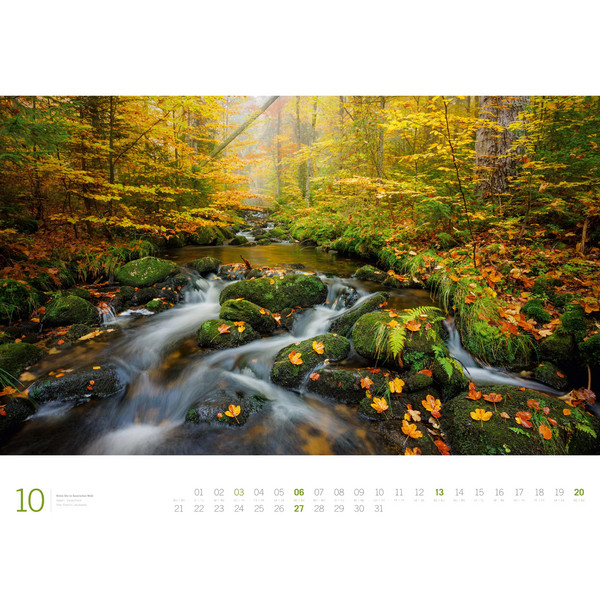 WALD - ACKERMANN GALLERY KALENDER 2024 - Kalender