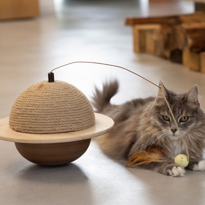 Designed by Lotte Kratzball Wiggly für Katzen