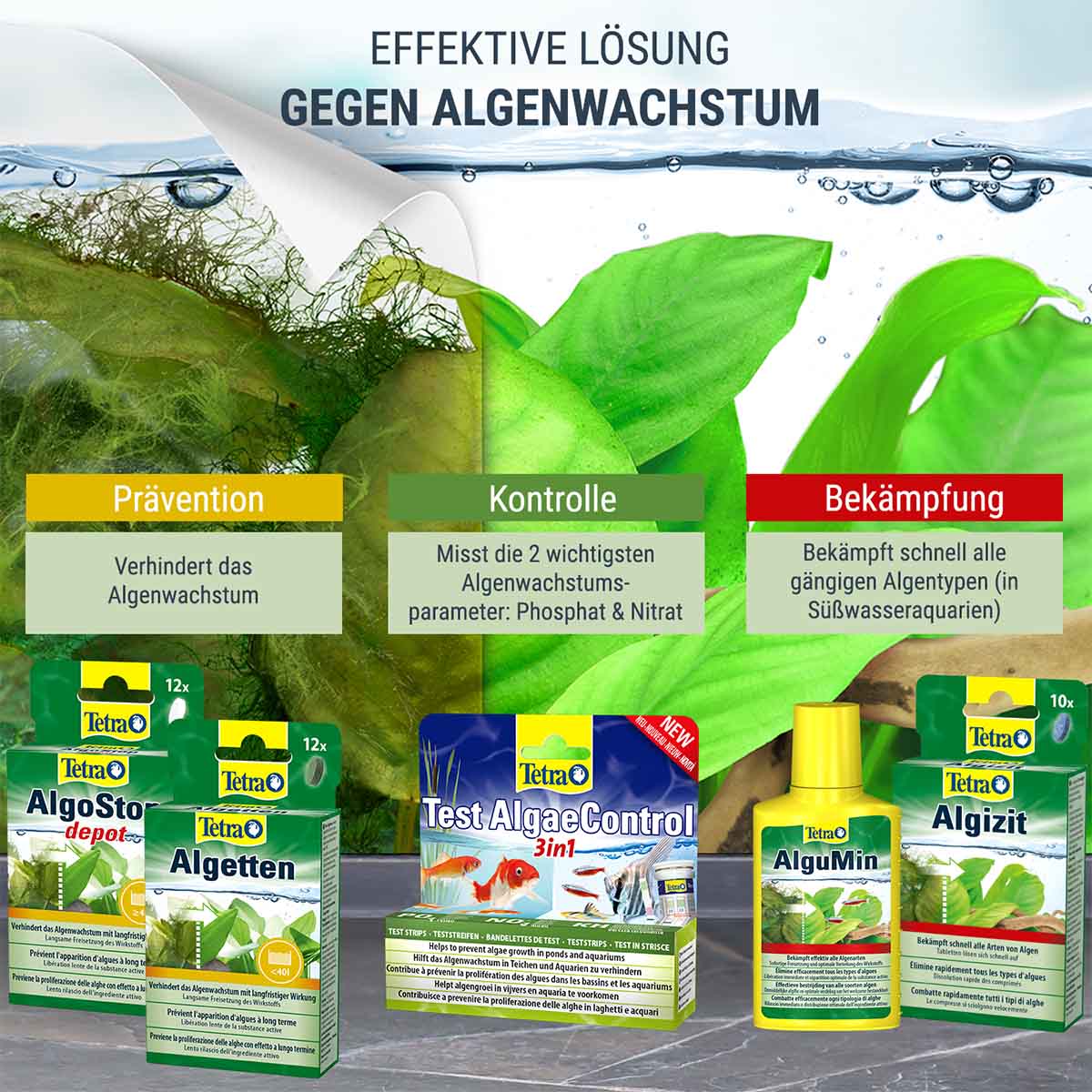 Tetra Wassertest AlgaeControl 3in1 günstig kaufen