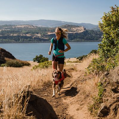 Ruffwear Switchbak Harness, Red Sumac