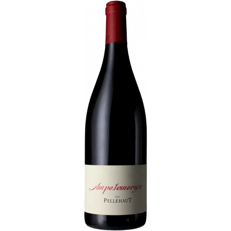 AMPELOMERYX ROUGE 2022 - DOMAINE PELLEHAUT