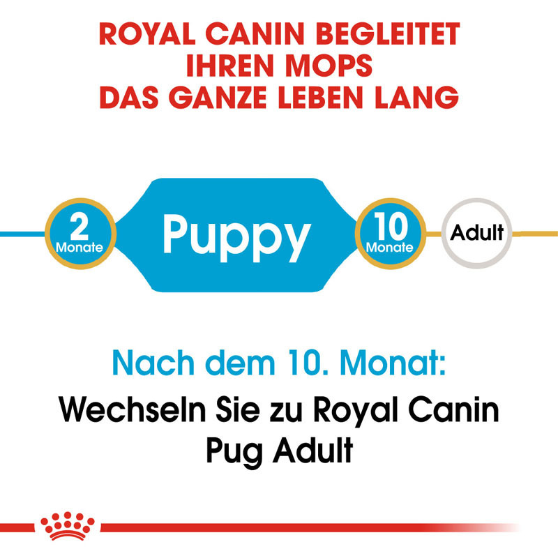 ROYAL CANIN Hundetrockenfutter ROYAL CANIN Mops Puppy 1,5 kg