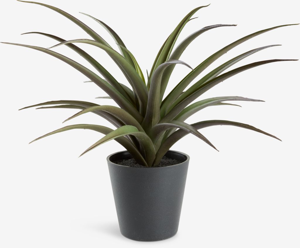 FREIDIG Sztuczna roślina FREIDIG Ø36xW32cm z doniczką