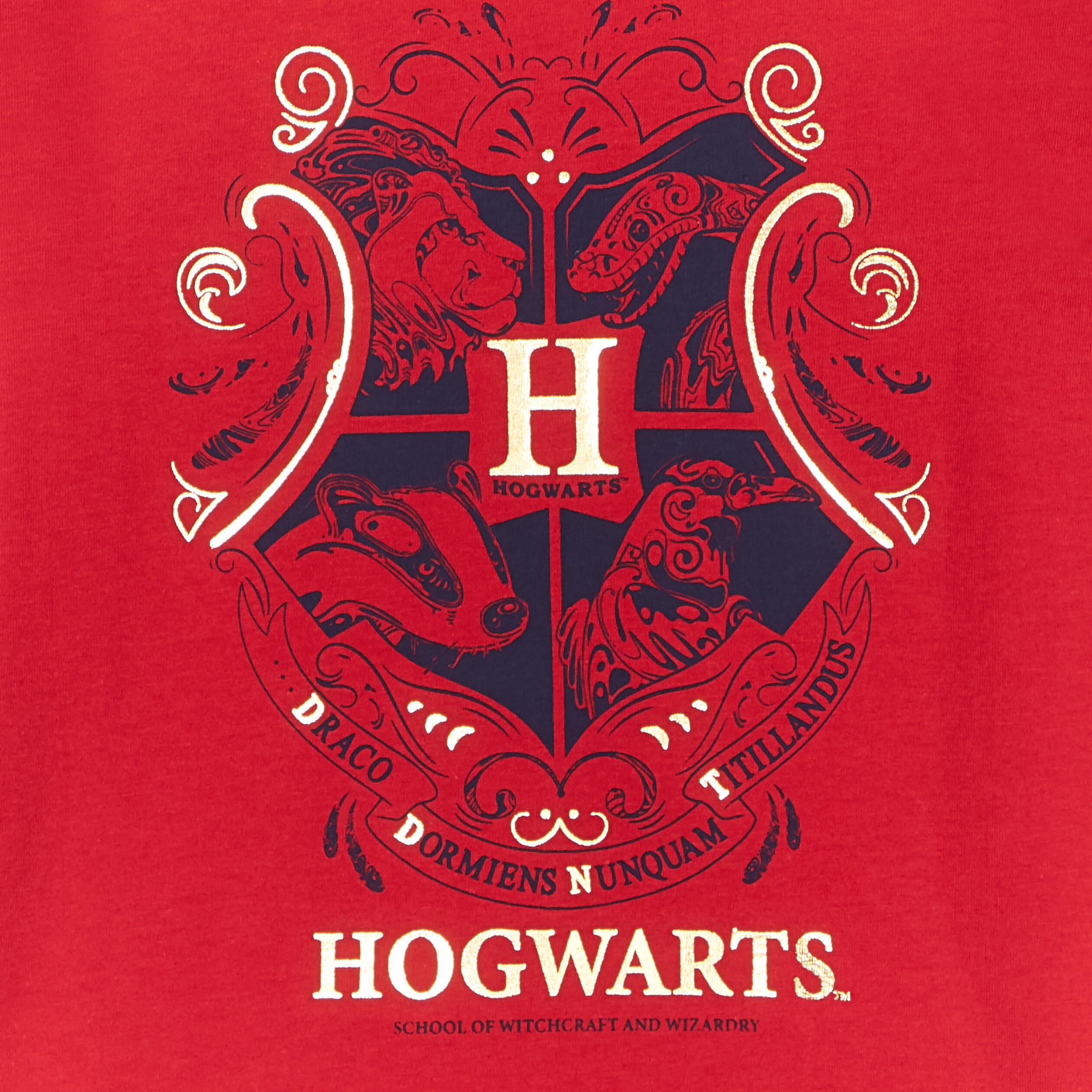 T-shirt manches courtes Harry Potter bordeaux fille | La Halle
