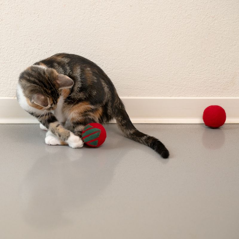 Modern Living Wollkugeln Laponia für Katzen