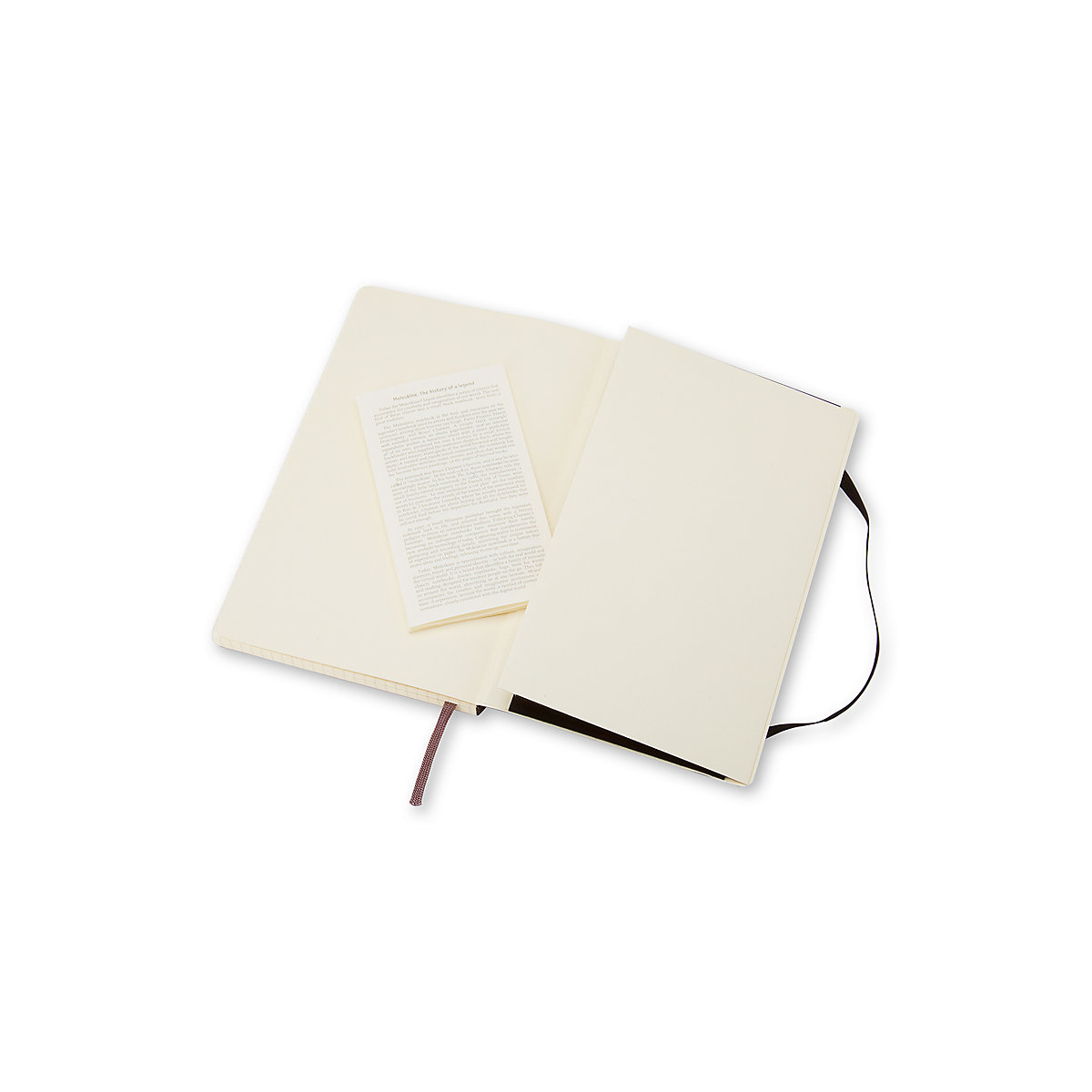 Notizbücher P/A6- Kariert Notizbücher