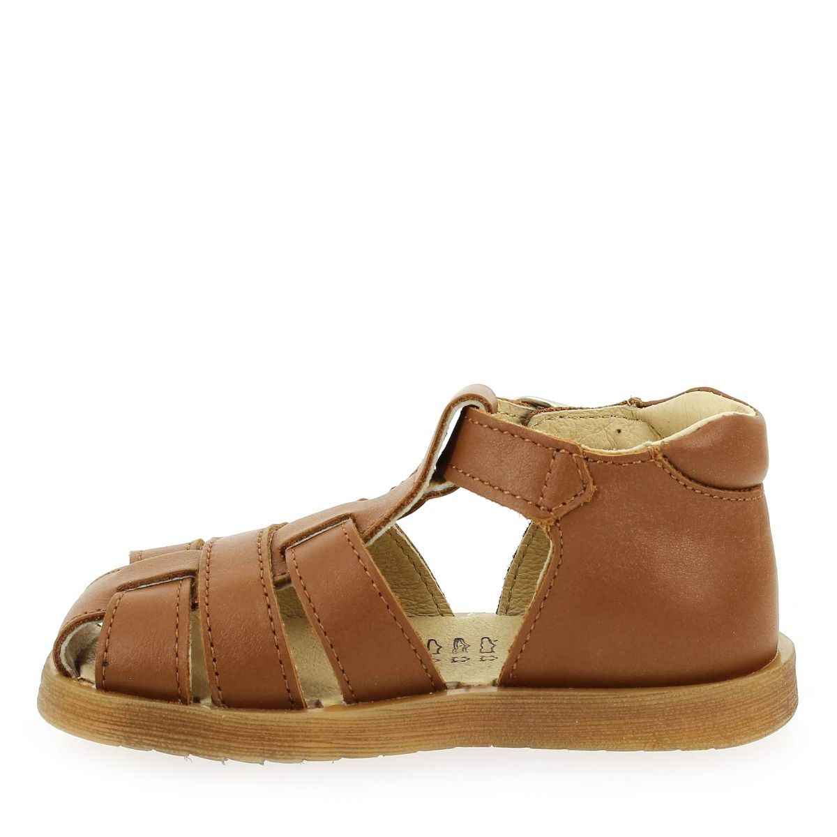 Bellamy  PIERRICK - Camel