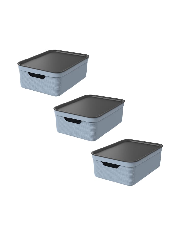 Rotho 3er Set Aufbewahrungsbox mit Deckel 10L JIVE in Blue Fog ged. günstig kaufen onesize