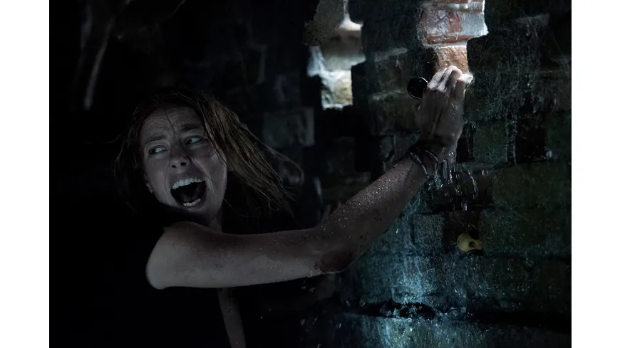Crawl  (4K Ultra HD) (+ Blu-ray)