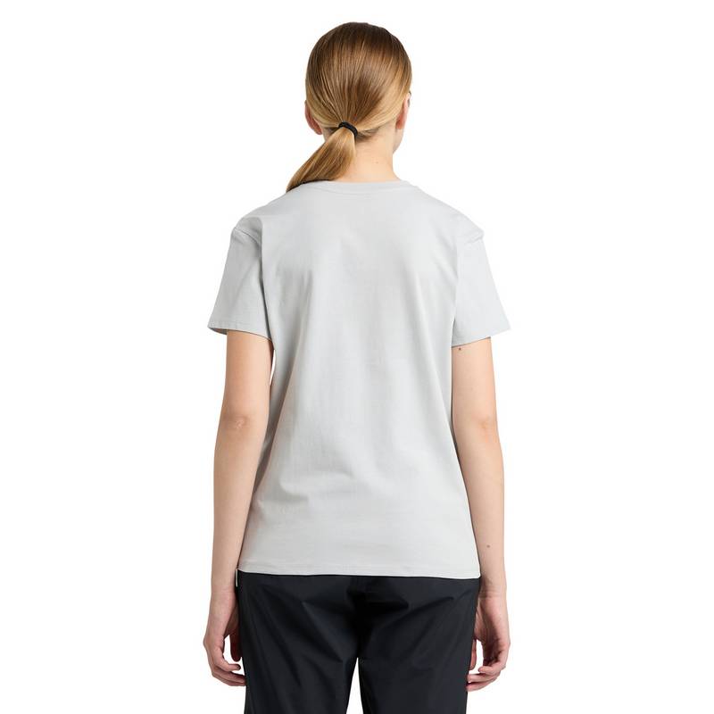 Haglöfs Camp Tee Funktionsshirt Damen
