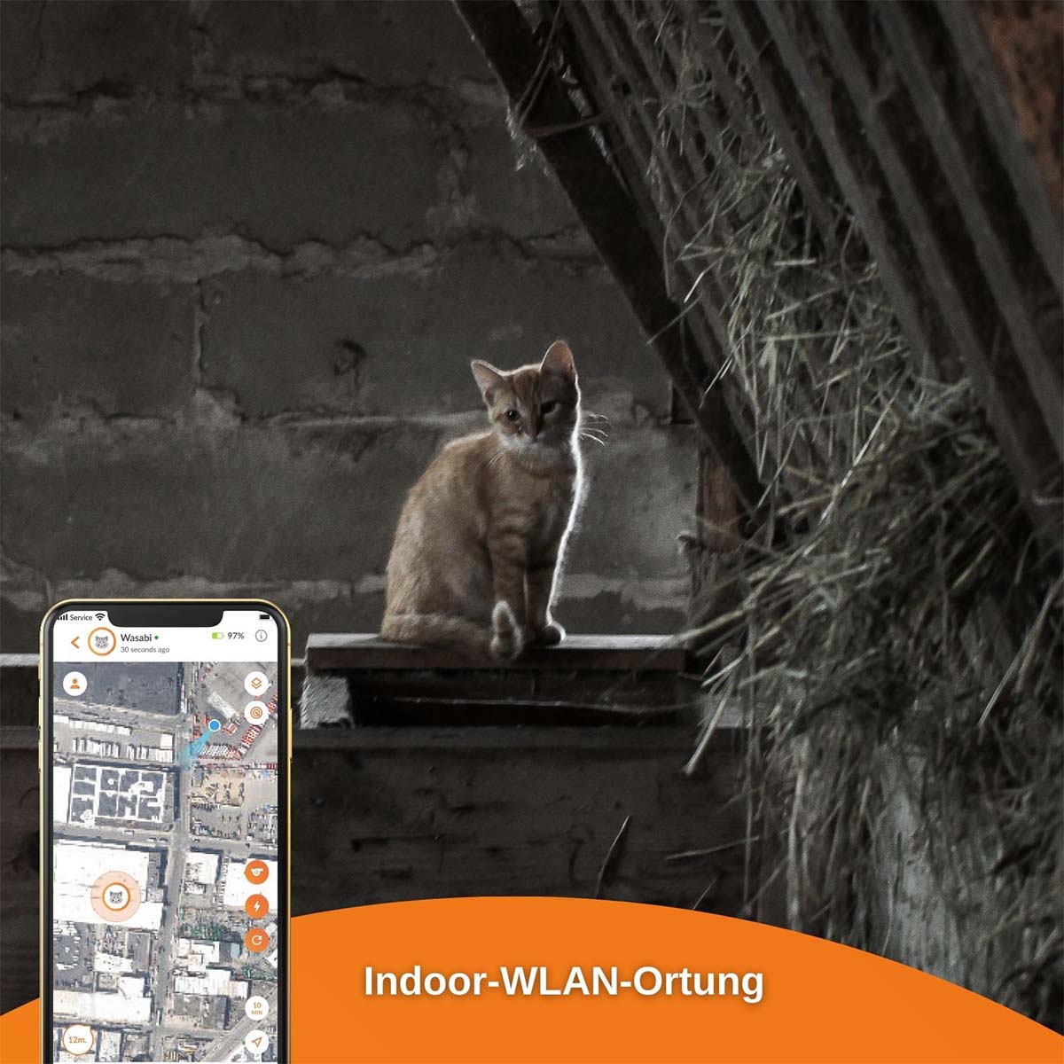 Weenect XS GPS Tracker für Katzen günstig kaufen