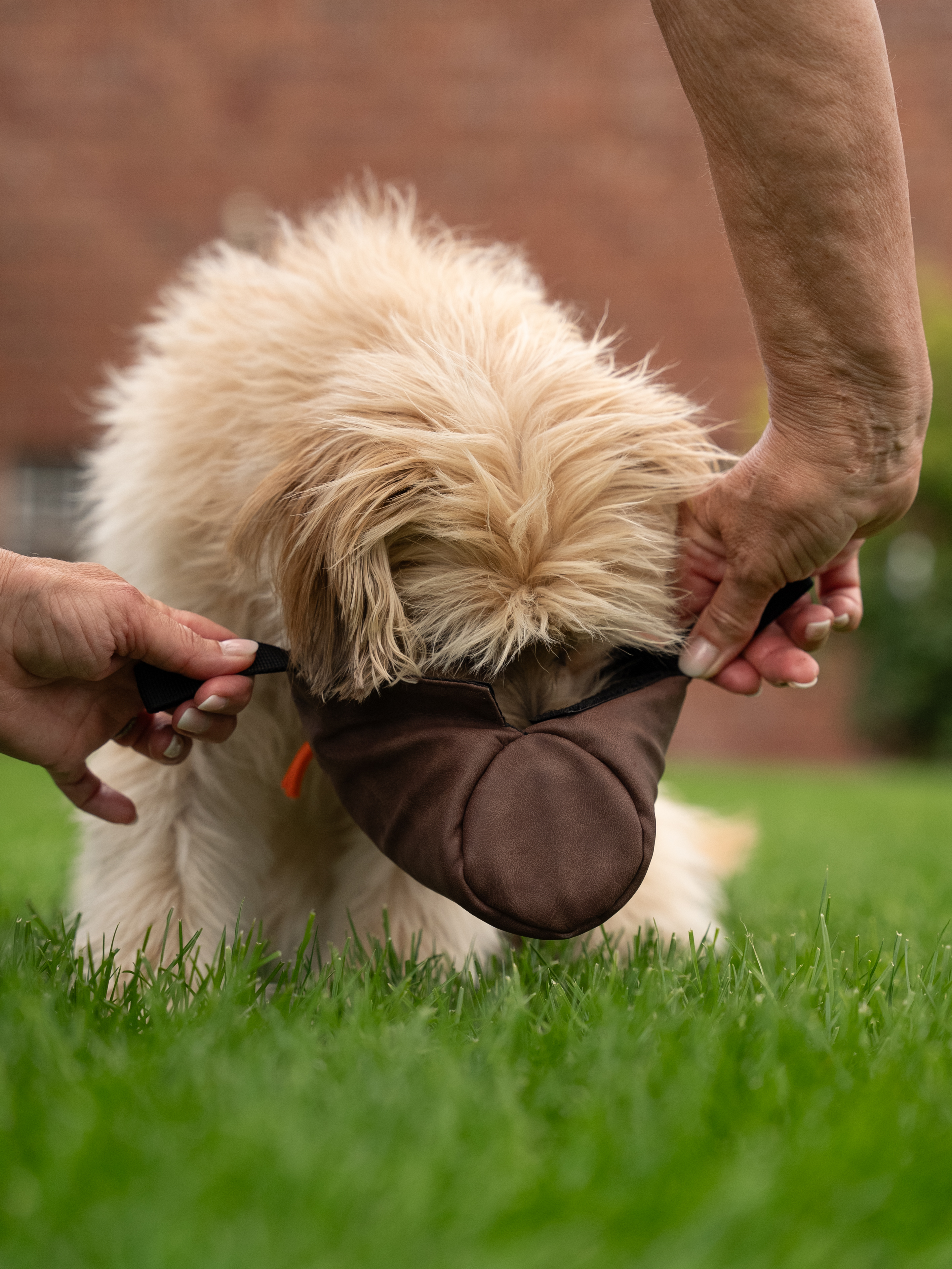TrendPet Snackbeutel TrendPet KURT Futterdummy braun L