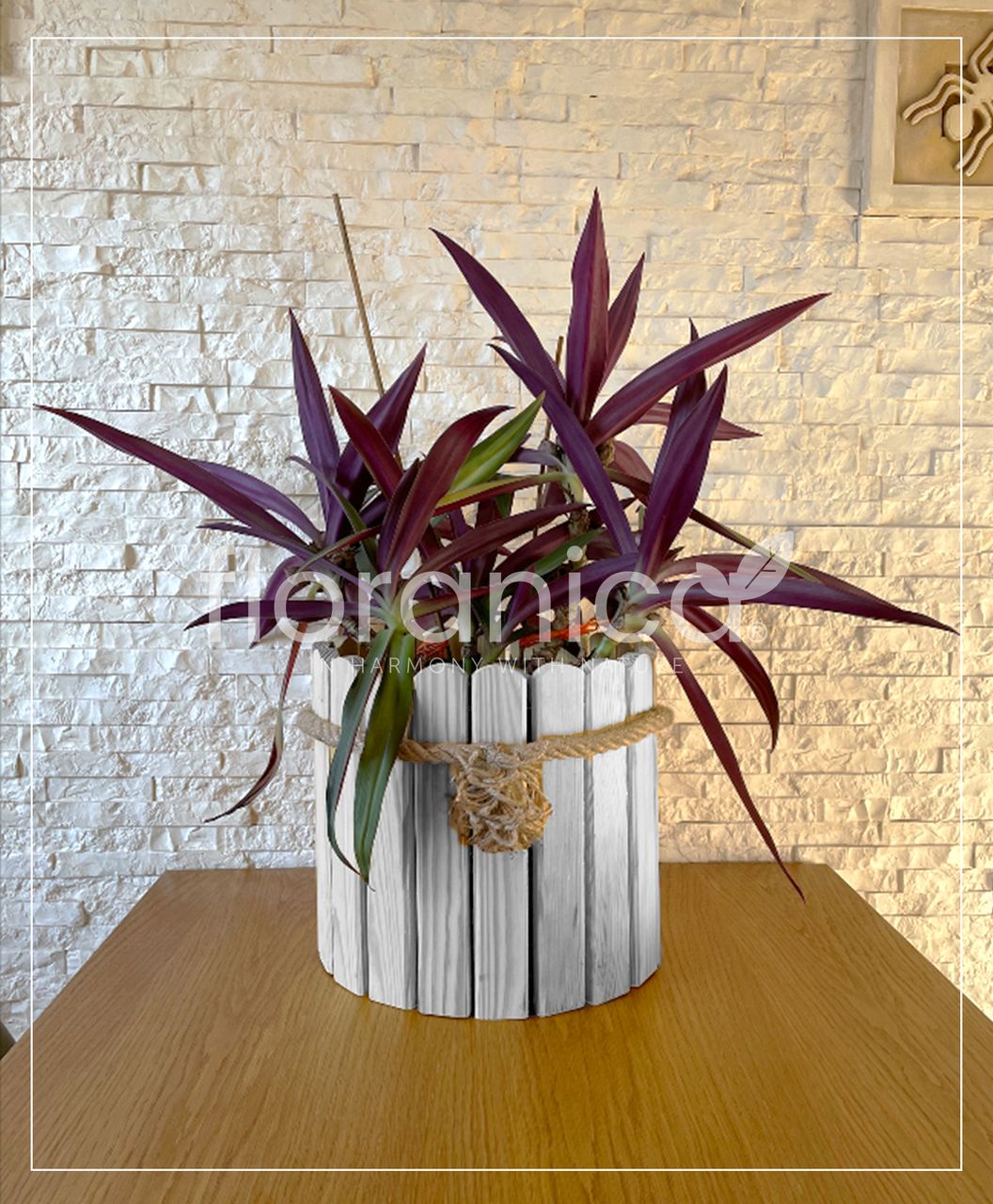 Pemicont Floranica Runder Blumentopf aus Holz 33x30cm Weiß Imprägniertes Kiefernholz Schutzhülle für Kräuter Blumen Haus- und Gartendekoration Truhe Für den Innen- und Außenbereich EU-Produkt
