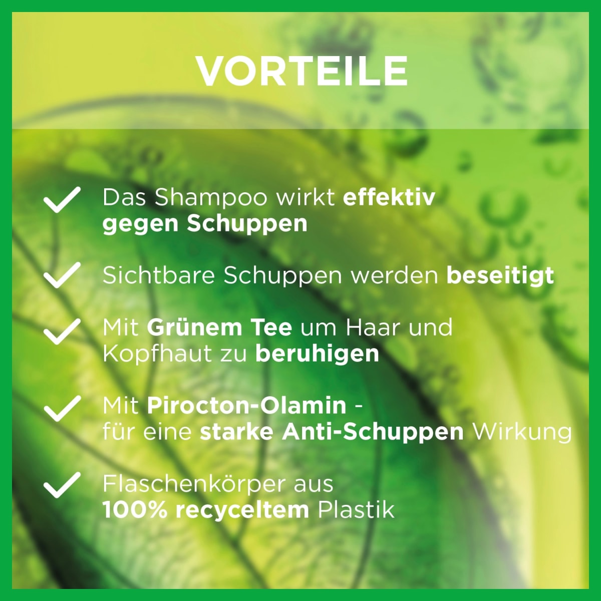 Shampoo Anti-Schuppen Classic, 300 ml