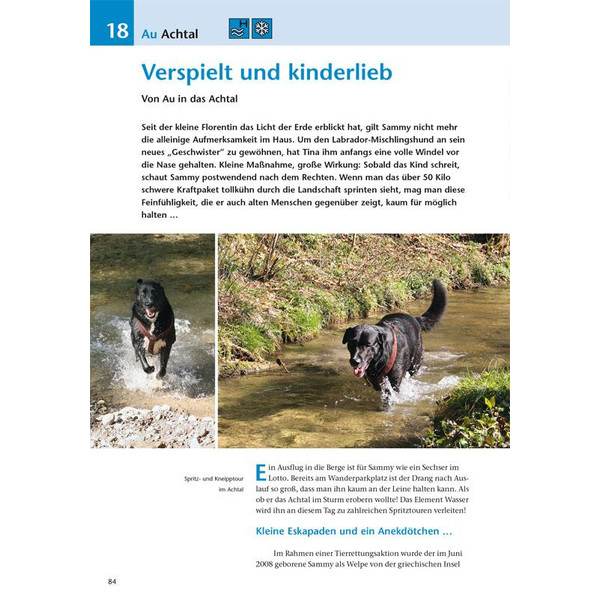 Die schönsten Wanderungen mit Hunden - Wanderführer