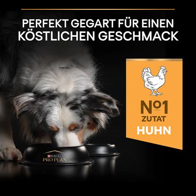 PURINA PRO PLAN Medium Adult Everyday Nutrition