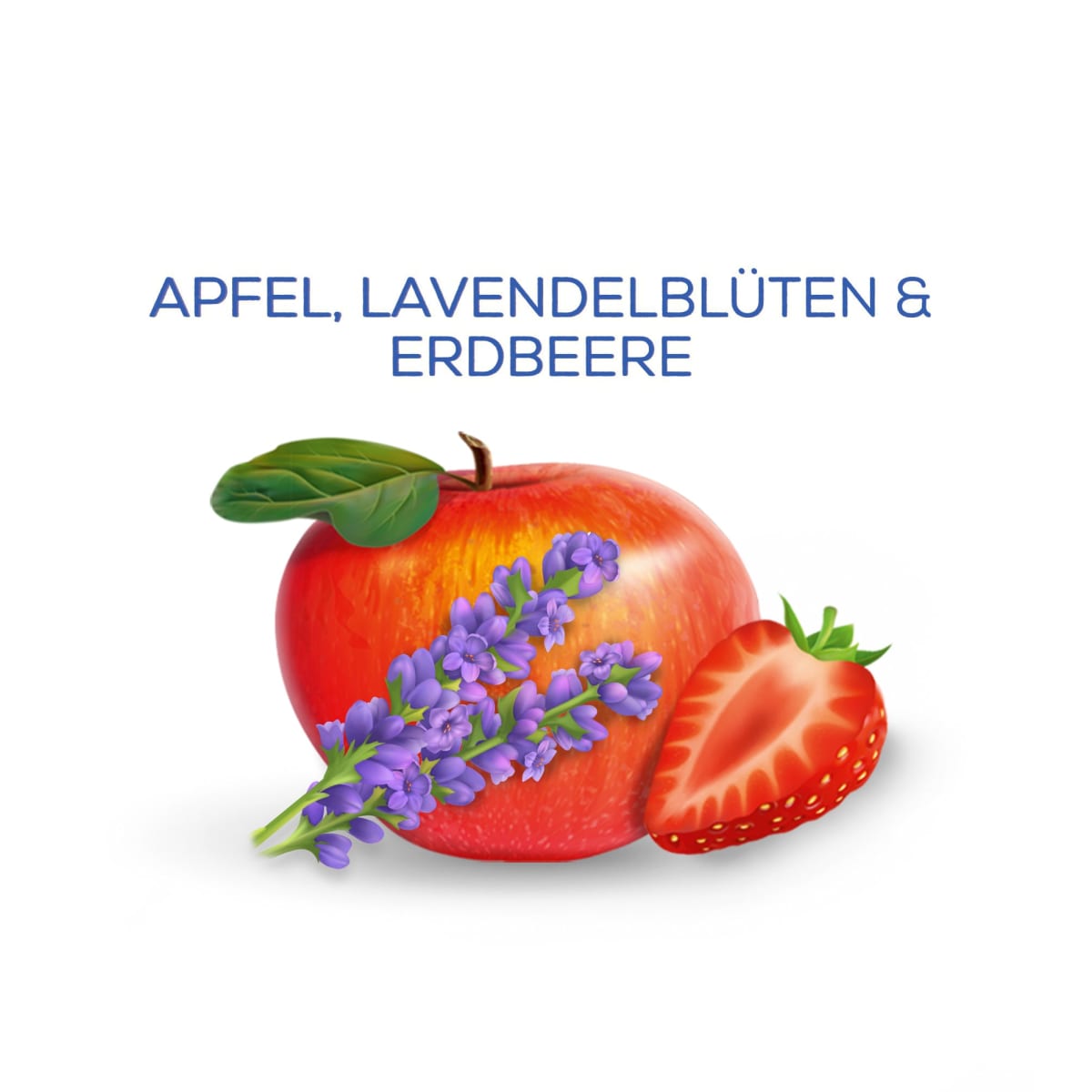 Früchtetee \taste my France\ mit Apfel, Lavendelblüten & Erdbeere (17 Beutel), 32,3 g