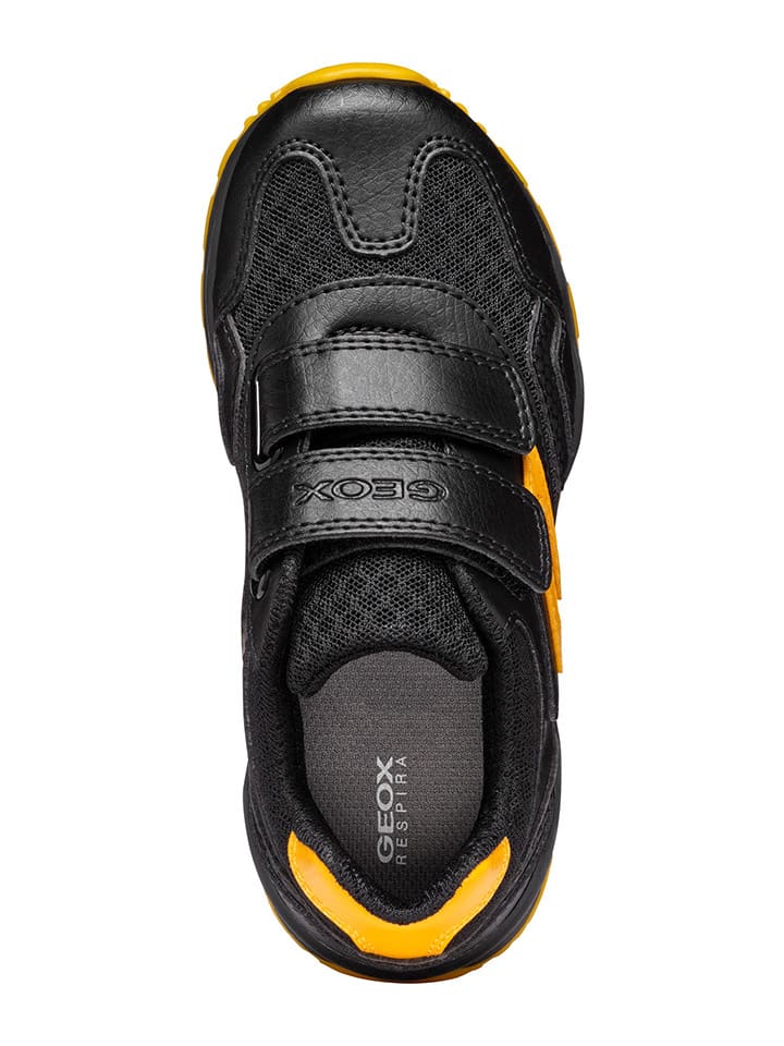Geox Sneakers 