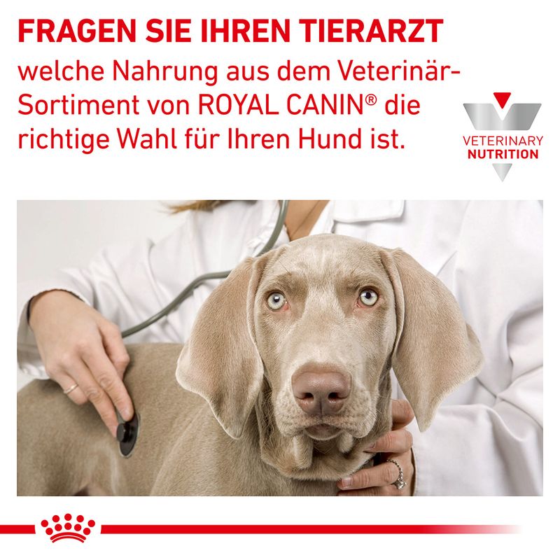 Royal Canin Veterinary Canine Hypoallergenic Mousse