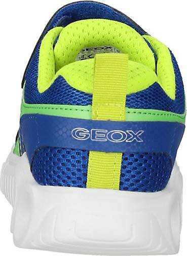 Geox Sneaker