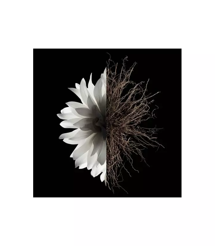 L'INTERDIT Parfum pour Cheveux