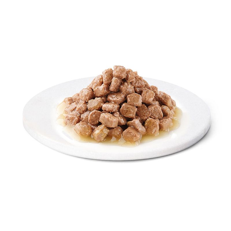 Advance Kitten Huhn zu TOP-Preisen