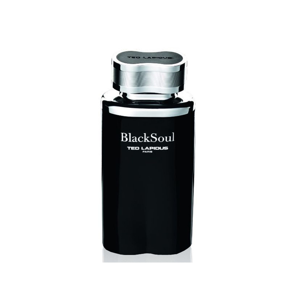 Ted Lapidus BlackSoul Eau de Toilette