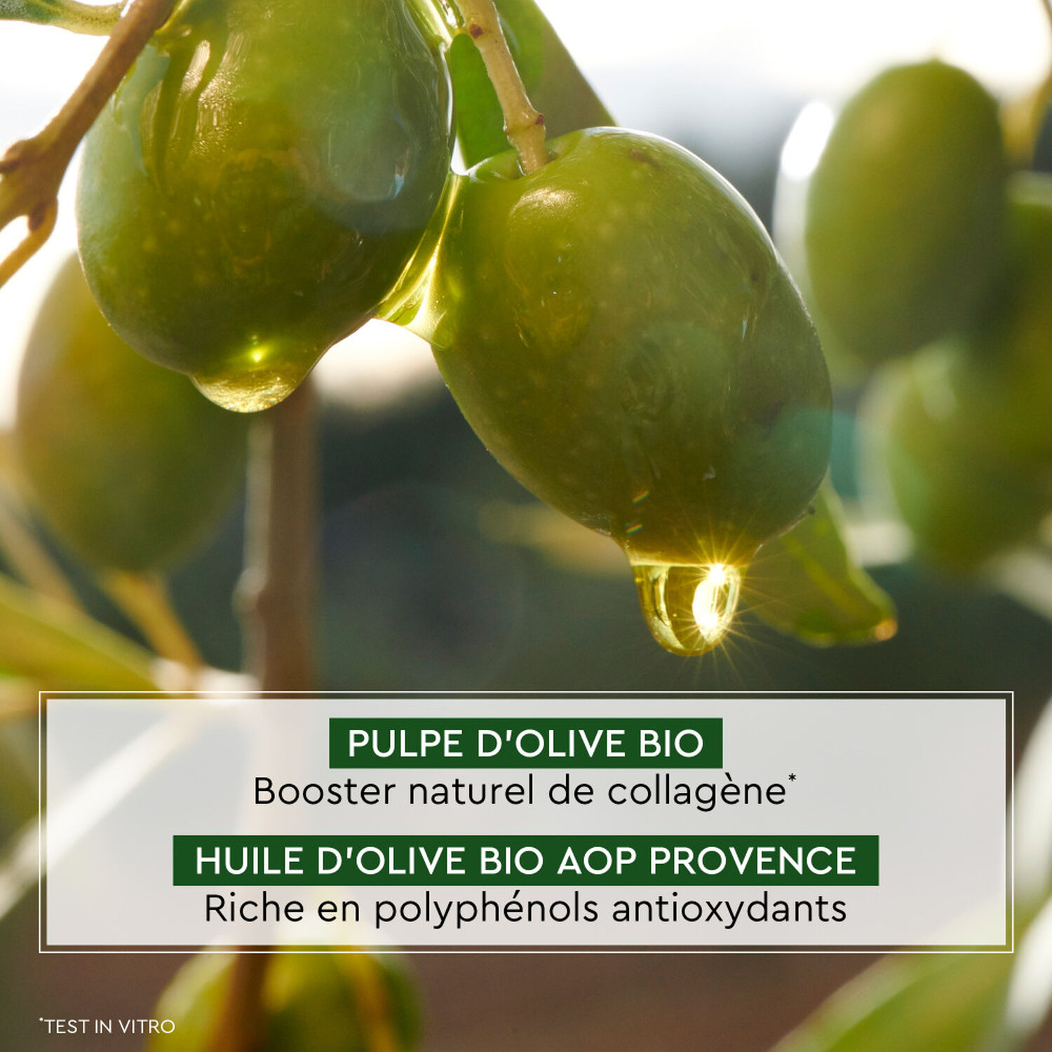 La Provençale Bio Or de Jouvence Baume Nuit Redensifiant Peaux Matures certifié bio