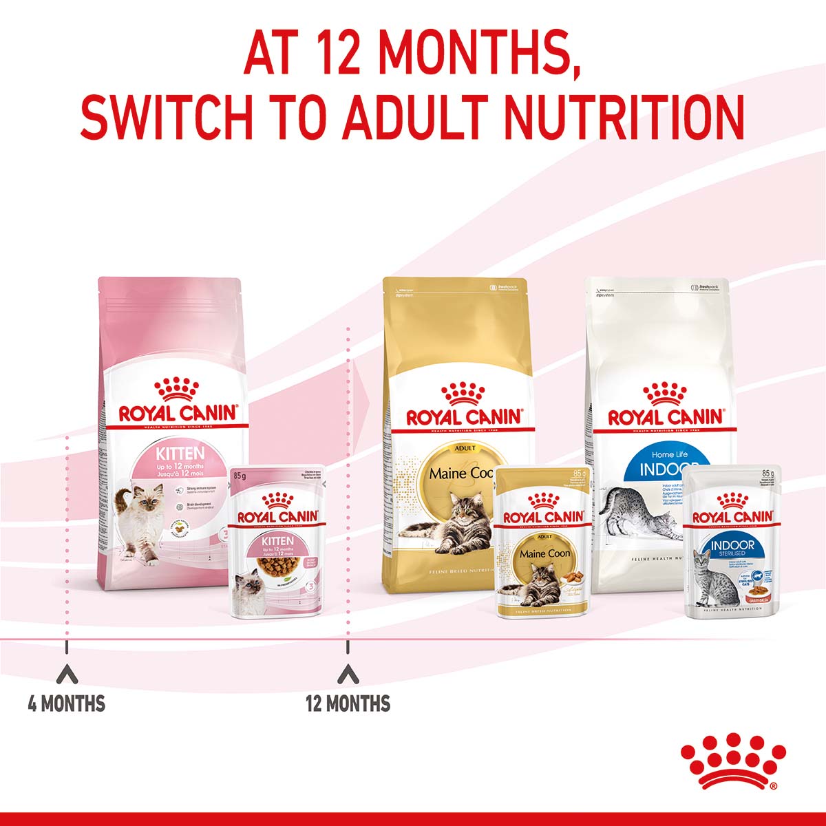 ROYAL CANIN KITTEN Nassfutter in Soße für Kätzchen