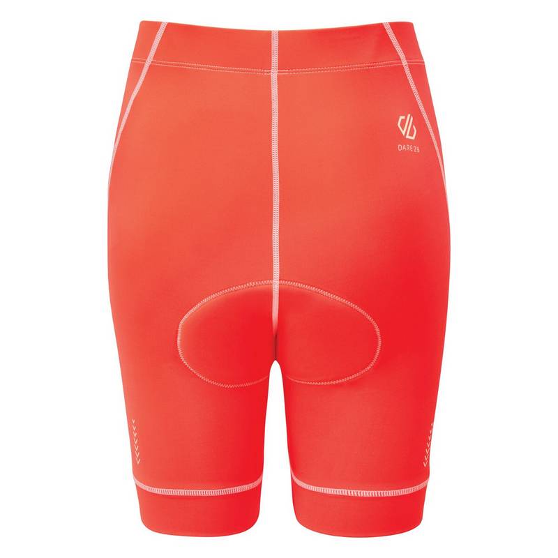 Dare 2B Habit Fahrradhose Damen