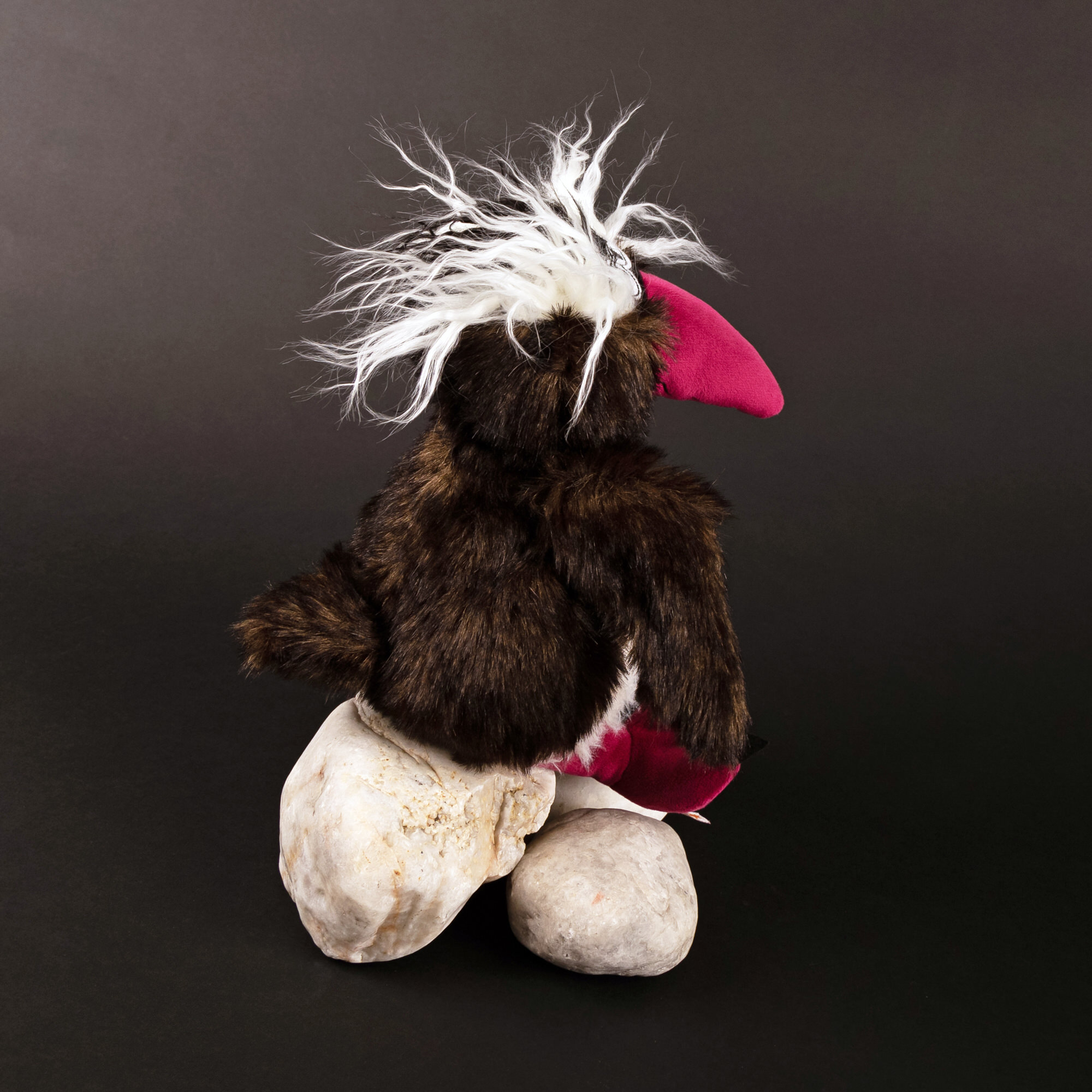 Kuschelvogel Rock Hopper, Kikeriki