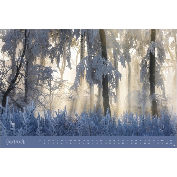 ZAUBERWÄLDER EDITION KALENDER 2024. WANDKALENDER XL - Kalender