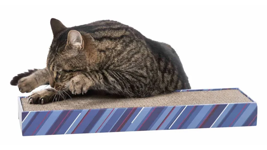 Trixie Kratzpappe Scratchy 48 x 13 x 5 cm bunt Katzenzubehör