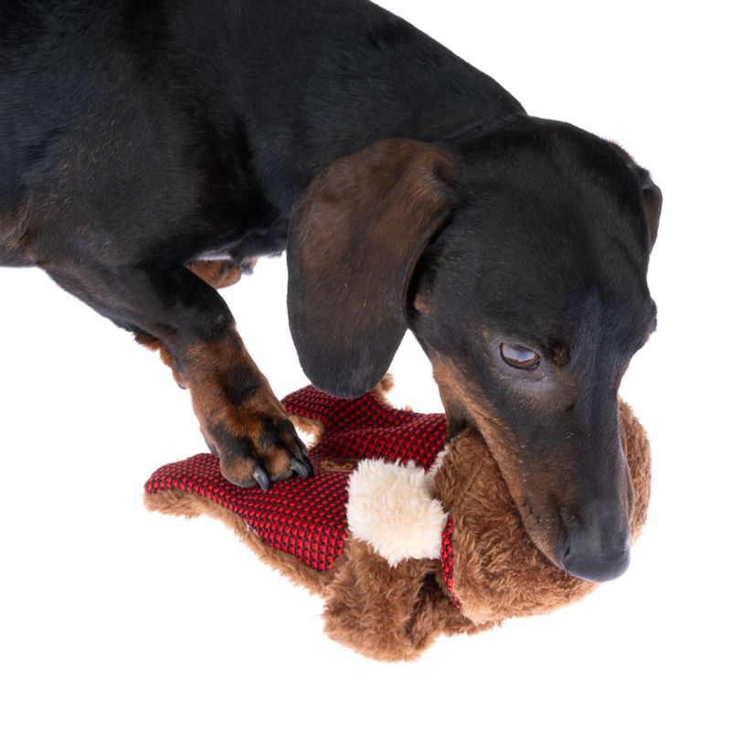 TIAKI Winkie Monkey Hundespielzeug zu TOP-Preisen