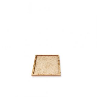 Column Epic Scale Trays (5)