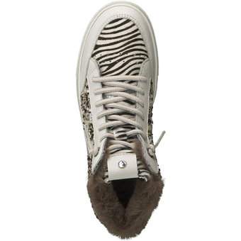 Cetti Sweet Cebra Ivory Pelo in bunt