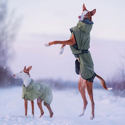 Rukka® Warmup Hundemantel, oliv