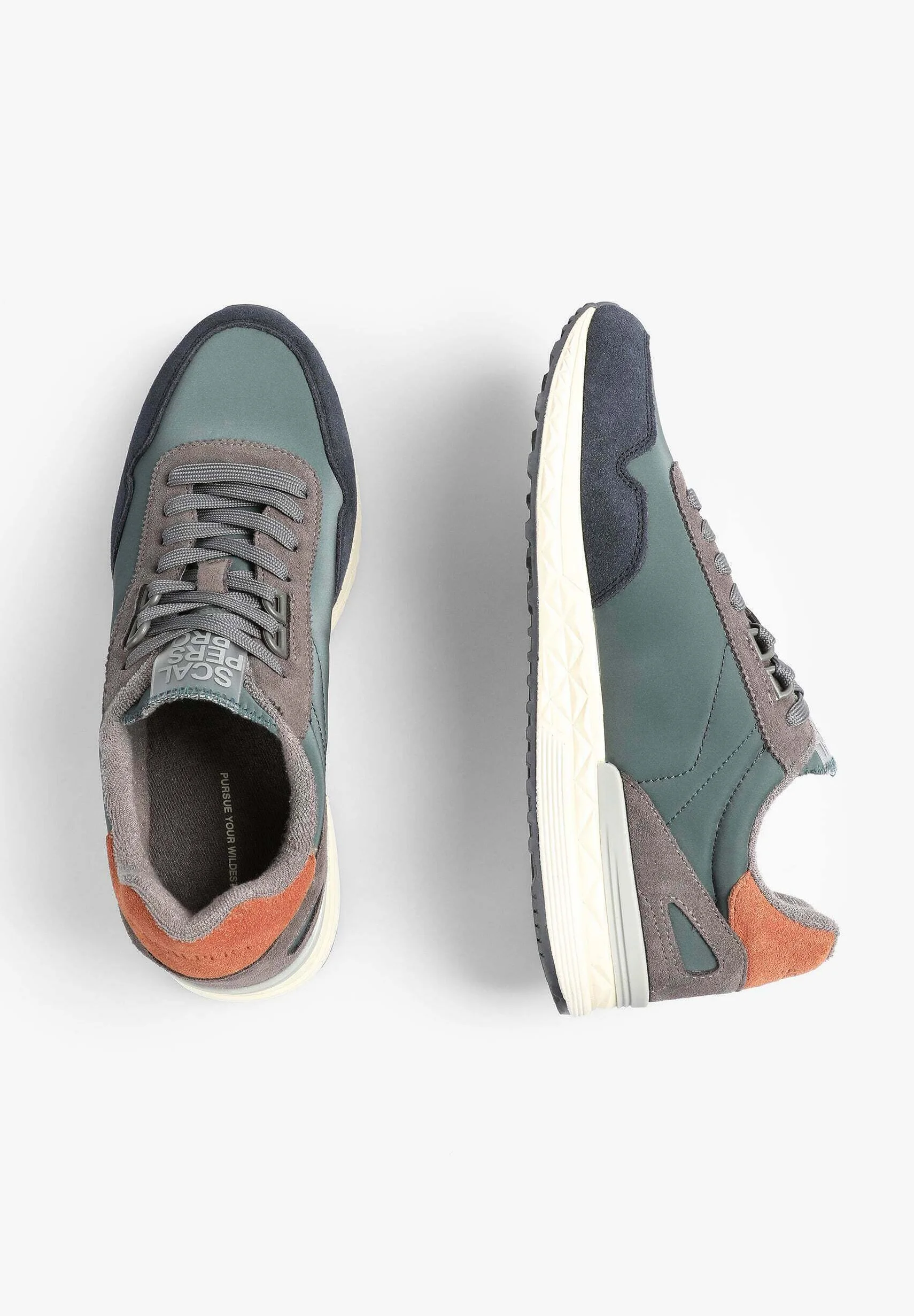 Scalpers HARRY - Zapatillas bajas