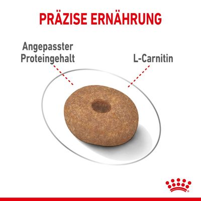 Royal Canin Mini Light Weight Care