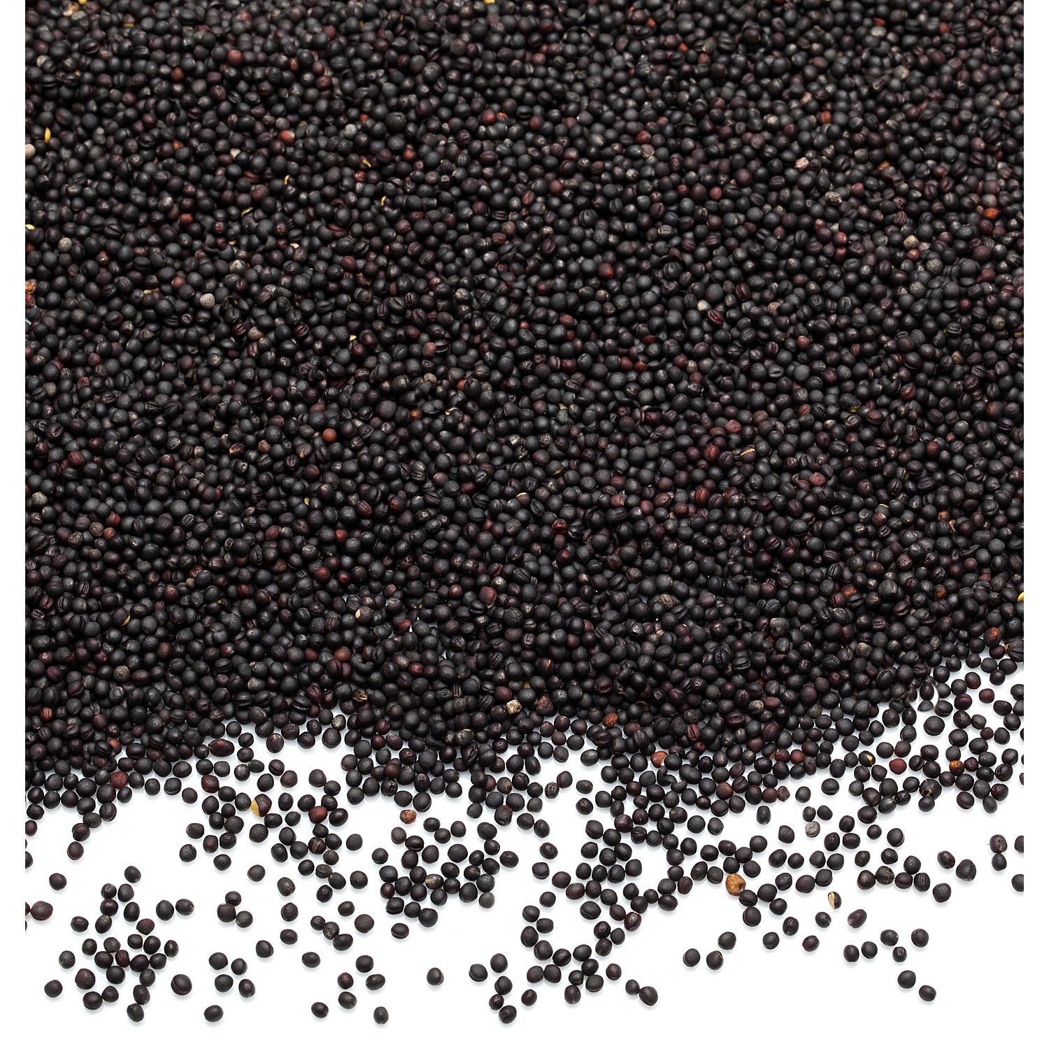 Rapssamen, 1000 g