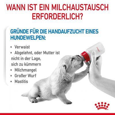 Royal Canin Babydog Milk