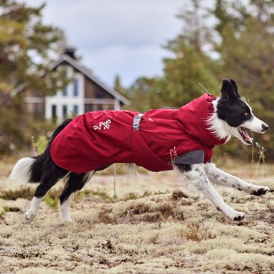 Hurtta Bare Winterjacke Late Harvest