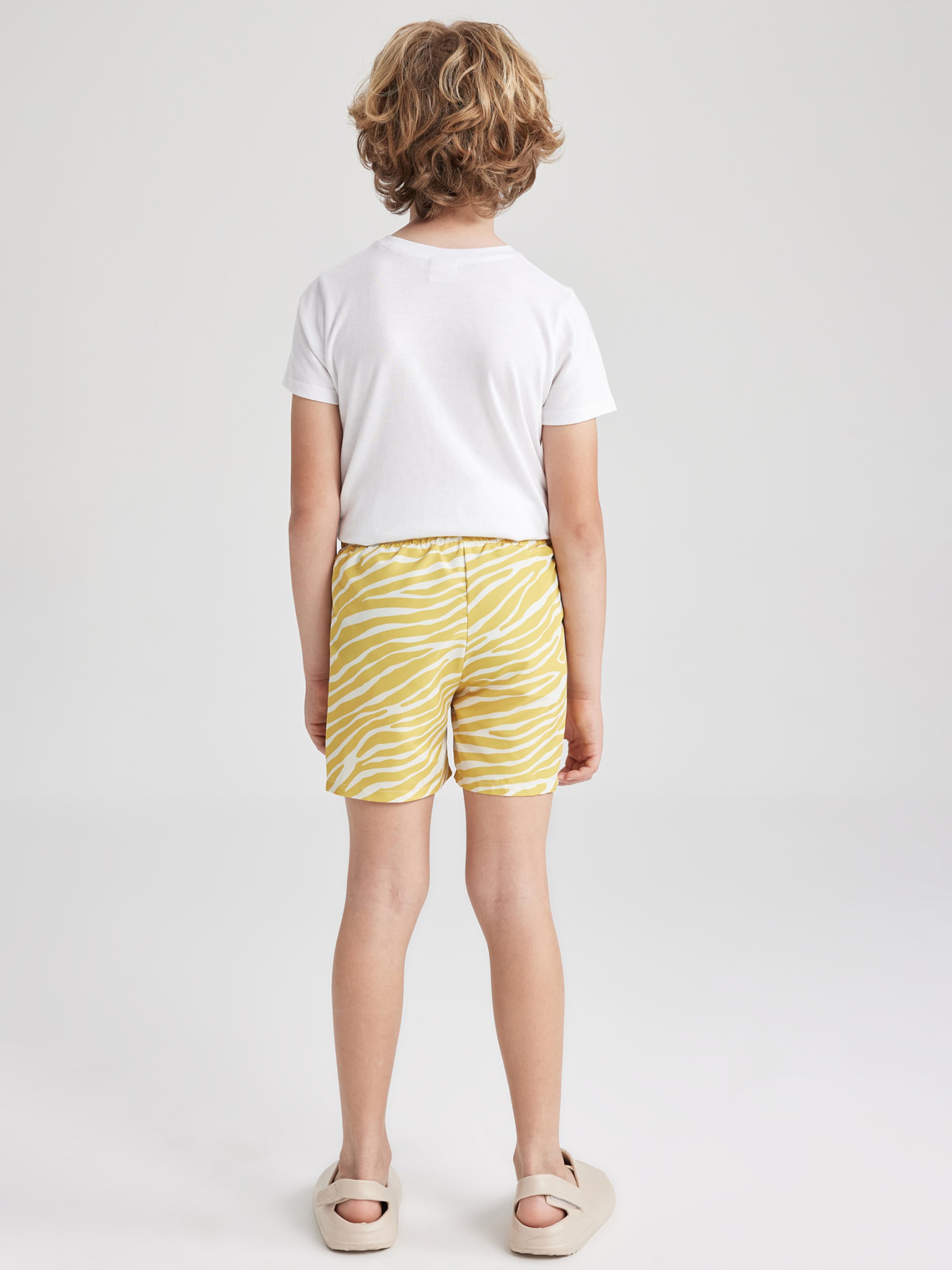 Board Shorts
