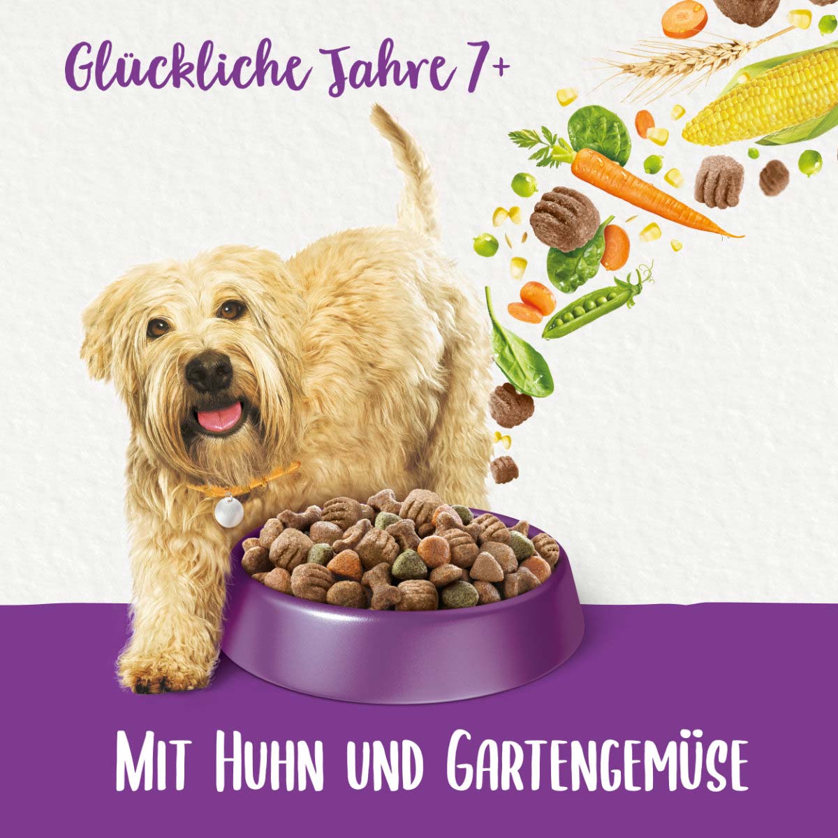PURINA BENEFUL Glückliche Jahre 7+, Huhn & Gemüse bei ZooRoyal