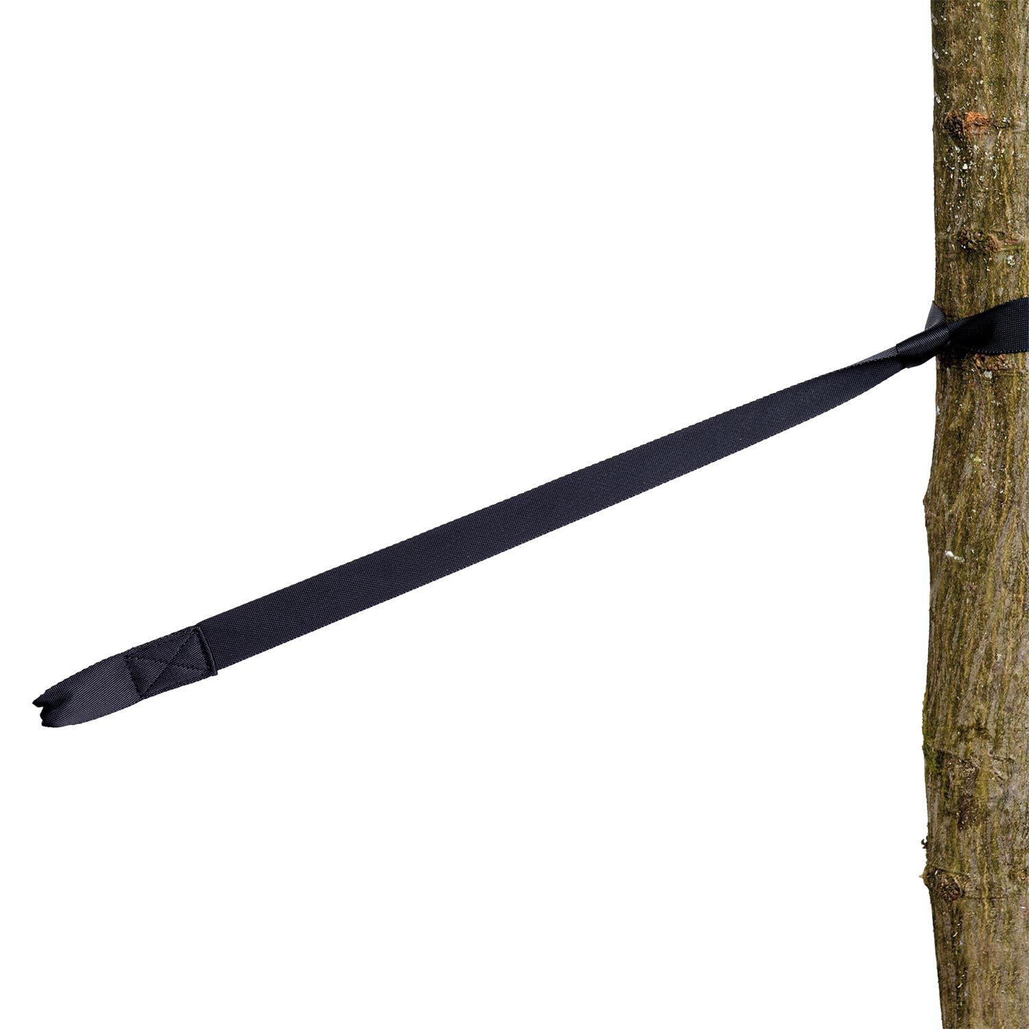 Tree Hugger Baumschutz und Verlängerung