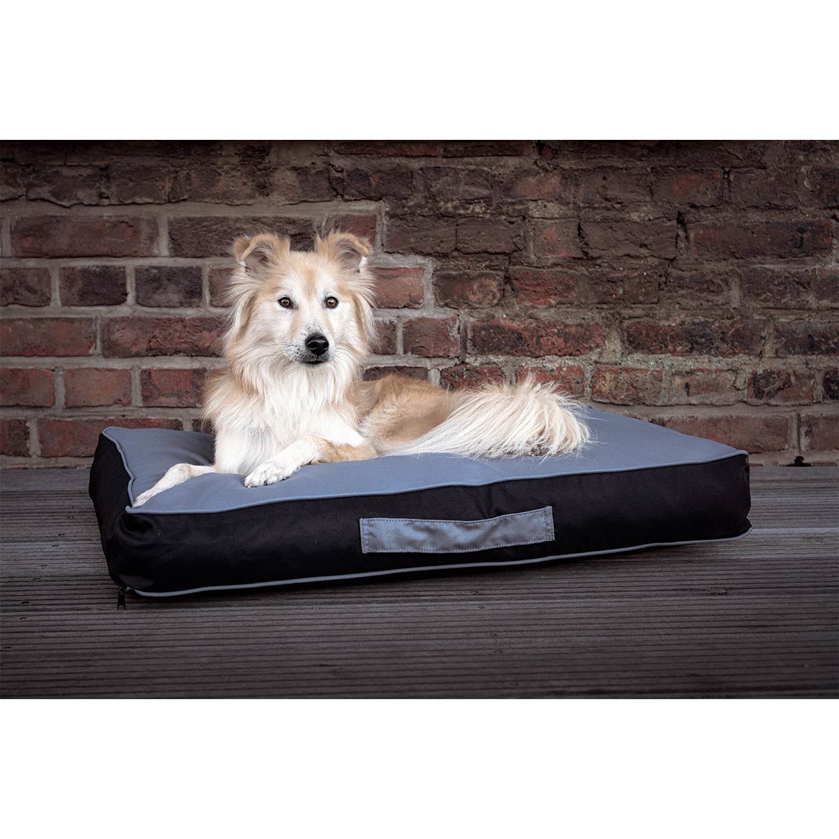 ZooRoyal Outdoor Hundekissen Tico günstig kaufen