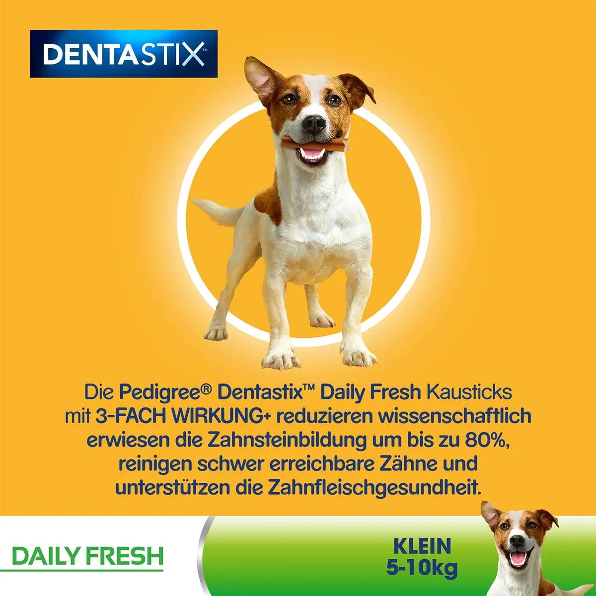 Pedigree DentaStix Daily Fresh für Kleine Hunde bei ZooRoyal